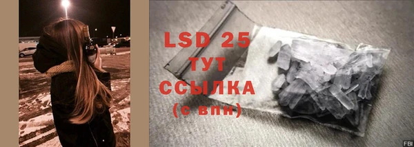 спиды Липки