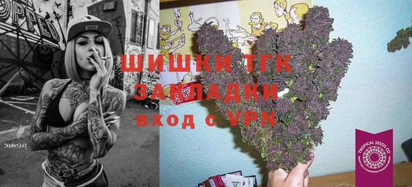 спиды Липки