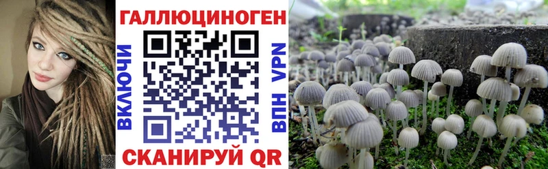Купить где  Горбатов  Галлюциногенные грибы GOLDEN TEACHER 